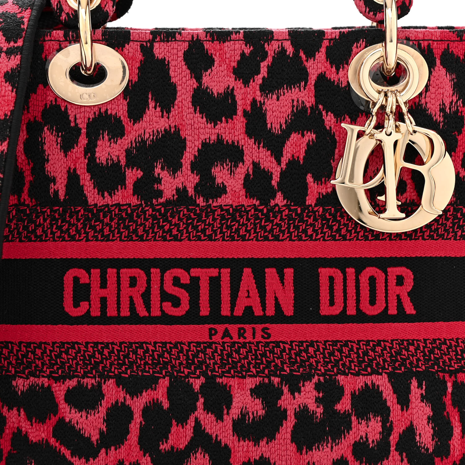 Dior ミッツァ ChristianDior CHRISTIAN DIOR Canvas Mizza Embroidered Medium Lady D-Lite