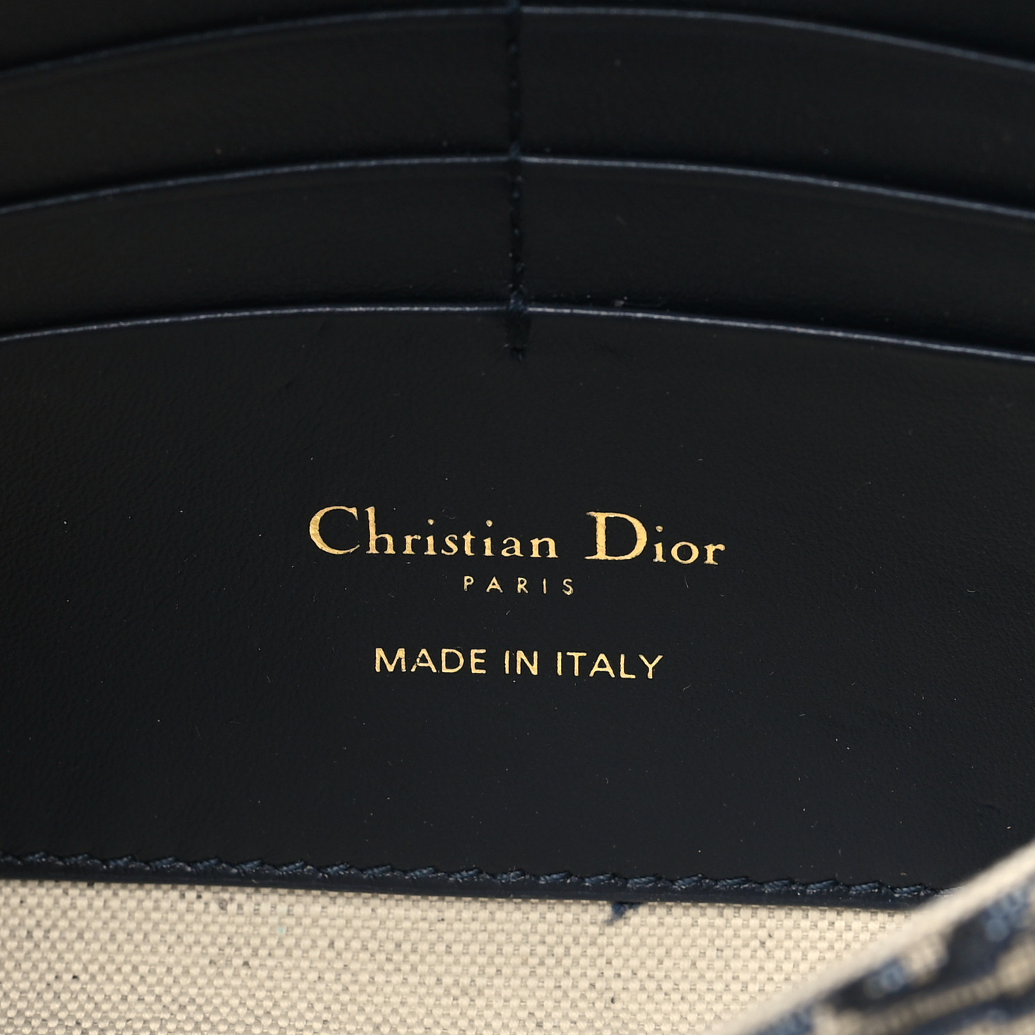 CHRISTIAN DIOR Oblique Bobby East West Pouch With Chain Blue