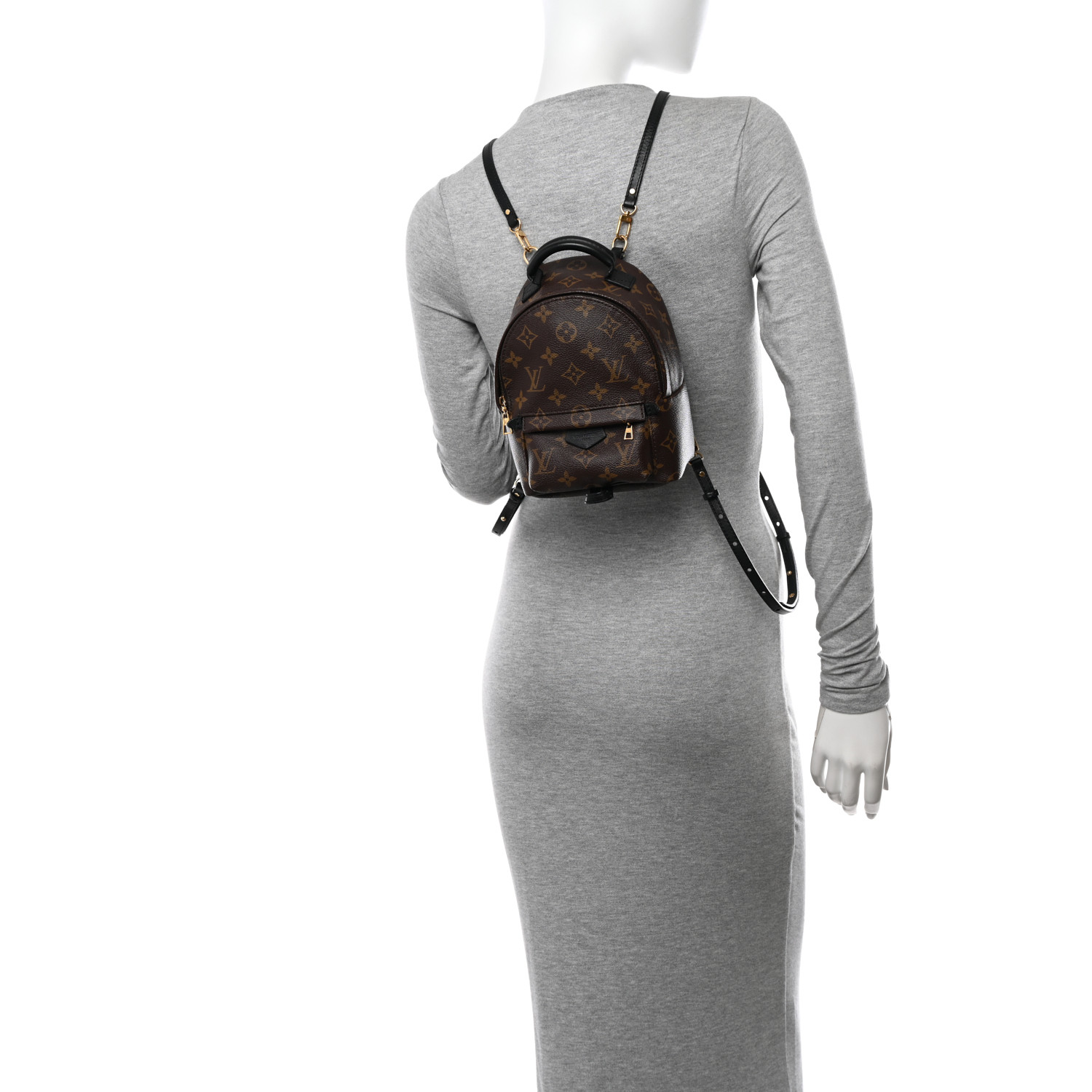 LOUIS VUITTON Monogram Palm Springs Backpack Mini 2