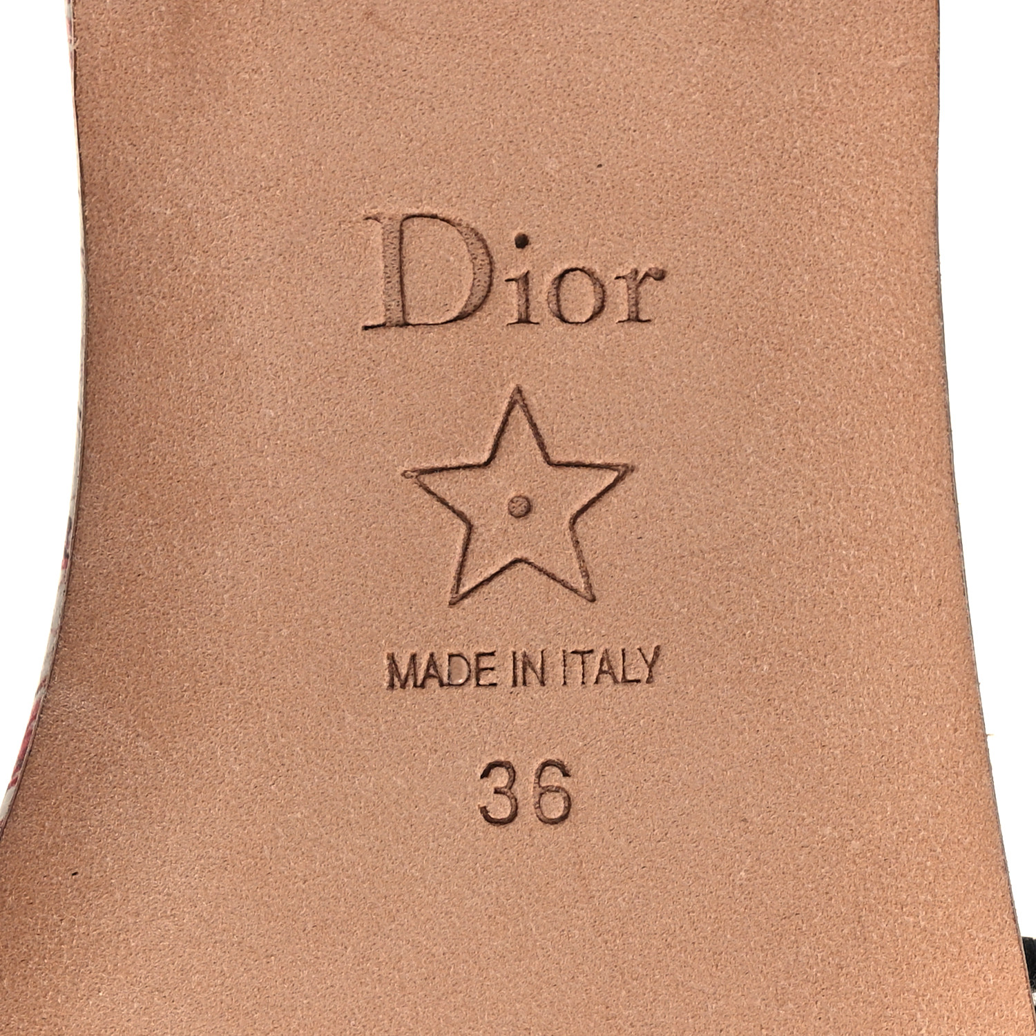 CHRISTIAN DIOR Canvas Embroidered Dioramour Dway Mules Slide