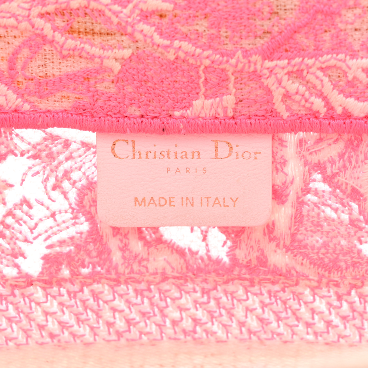CHRISTIAN DIOR Transparent Canvas Embroidered Small Toile De