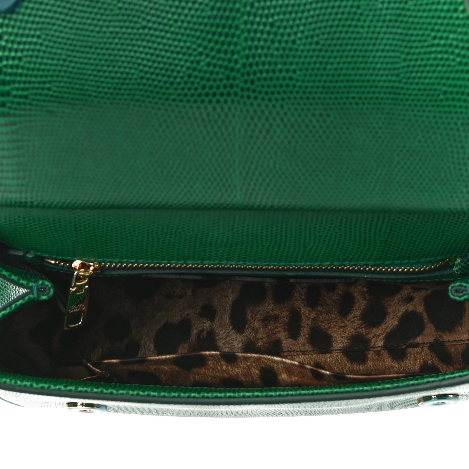 【D&G】Dolce & Gabbana 長財布 STAMPA IGUANA D&G】Dolce & Gabbana 長財布 STAMPA IGUANA (Dolce & Gabbana