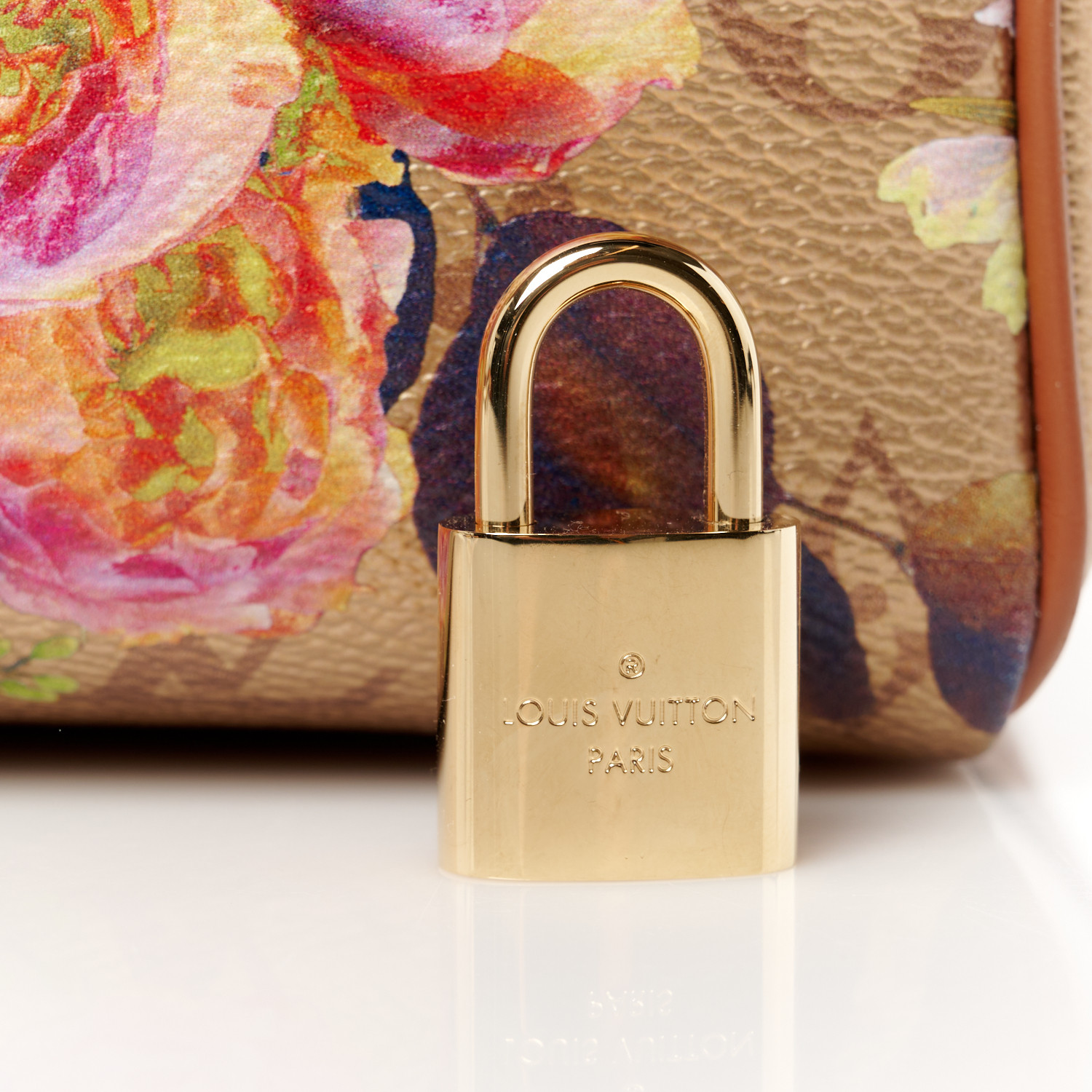 Louis Vuitton x Takashi Murakami Monogram Multicolore