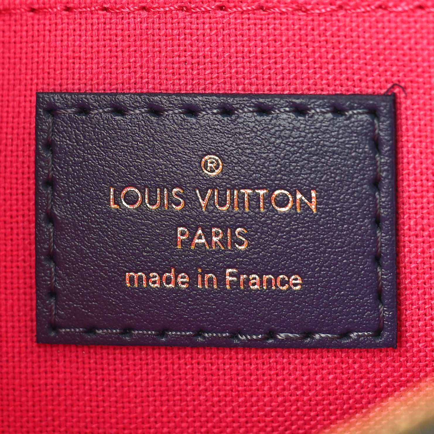 LOUIS VUITTON Monogram Spring In the City Neverfull MM GM