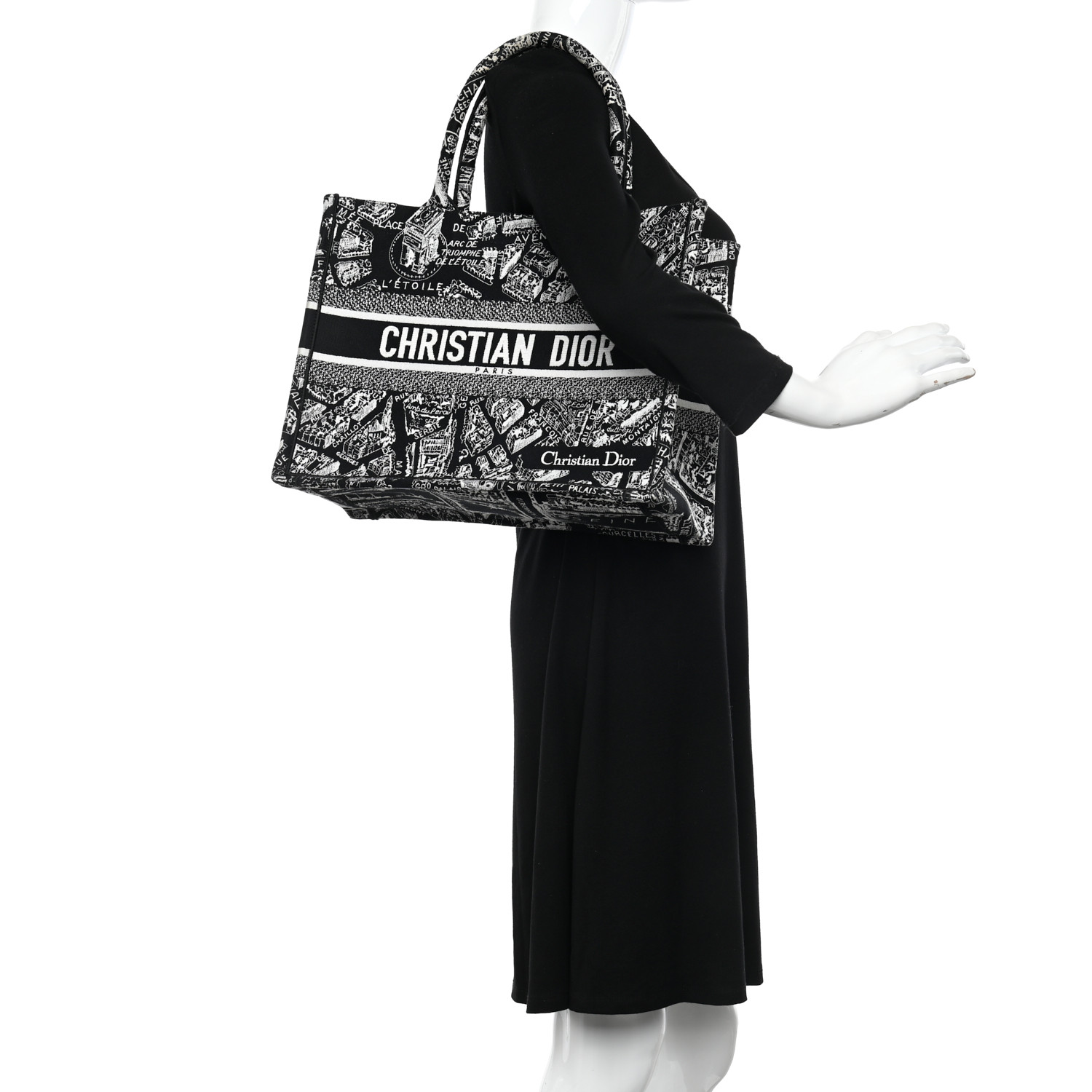 CHRISTIAN DIOR Canvas Embroidered Medium Plan De Paris Book