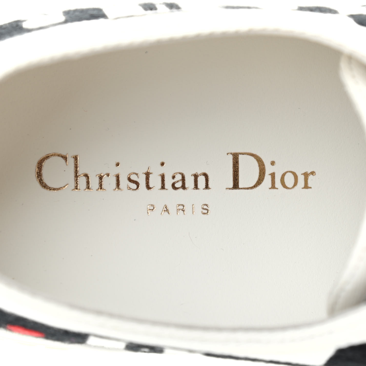 CHRISTIAN DIOR Canvas Dioramour Walk'N'Dior Low Top Sneakers