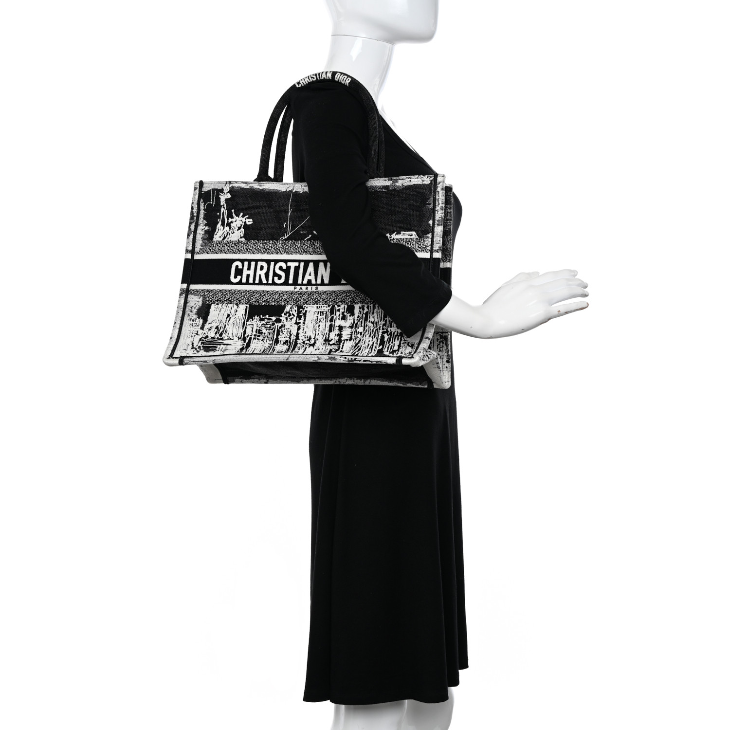 CHRISTIAN DIOR Canvas Embroidered Medium New York Book Tote