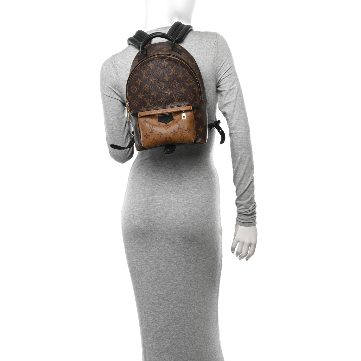 LOUIS VUITTON Reverse Monogram Palm Springs Backpack PM 2
