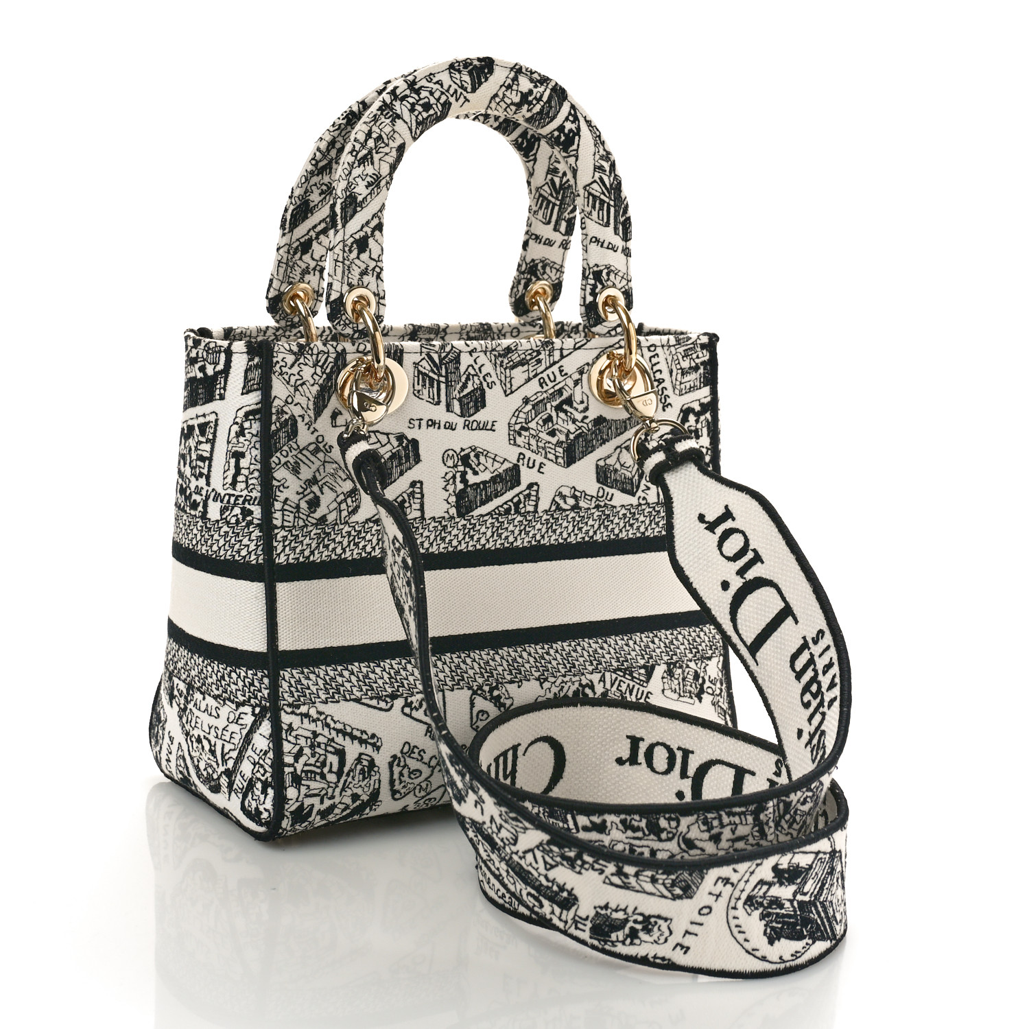 CHRISTIAN DIOR LADY D-LITE プラン・ド・パリ バッグ CHRISTIAN DIOR Canvas Embroidered Medium Plan de Paris Lady