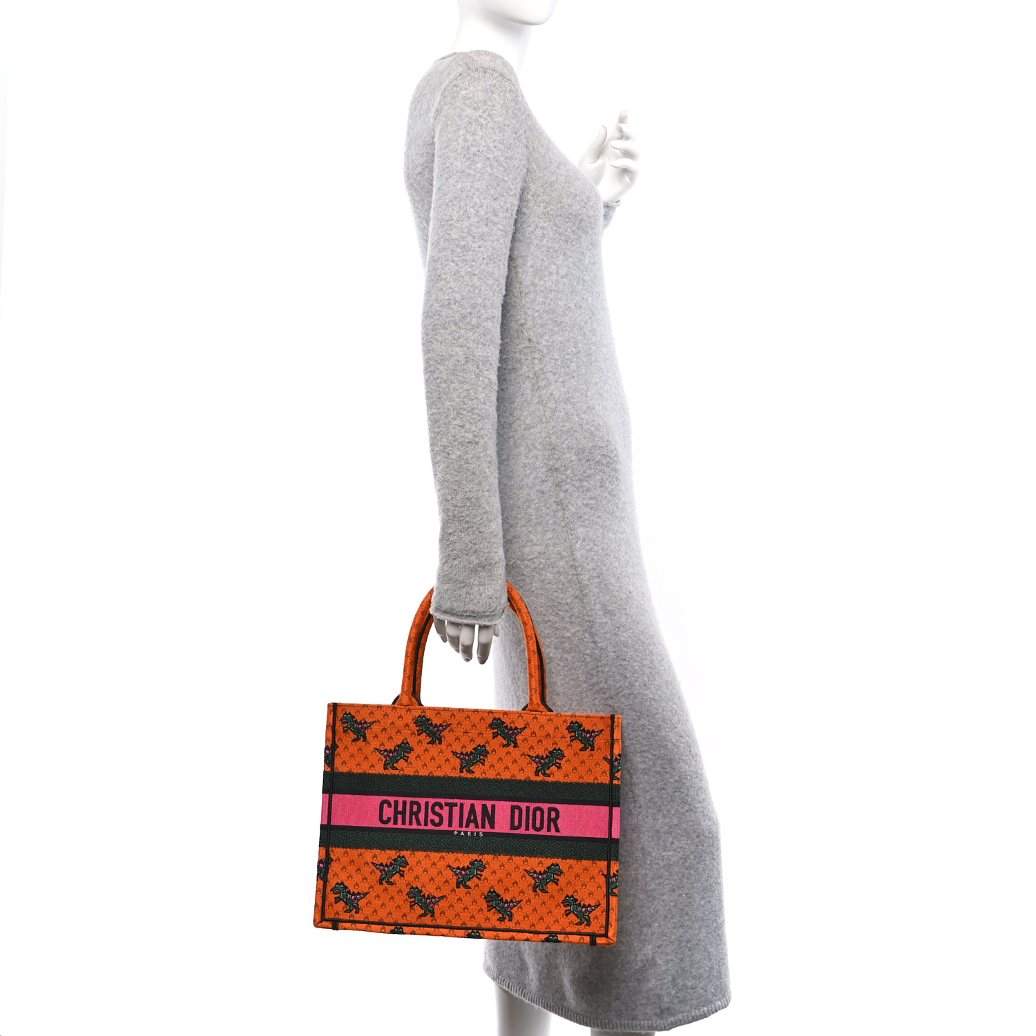 CHRISTIAN DIOR Canvas Embroidered Medium Dino Book Tote