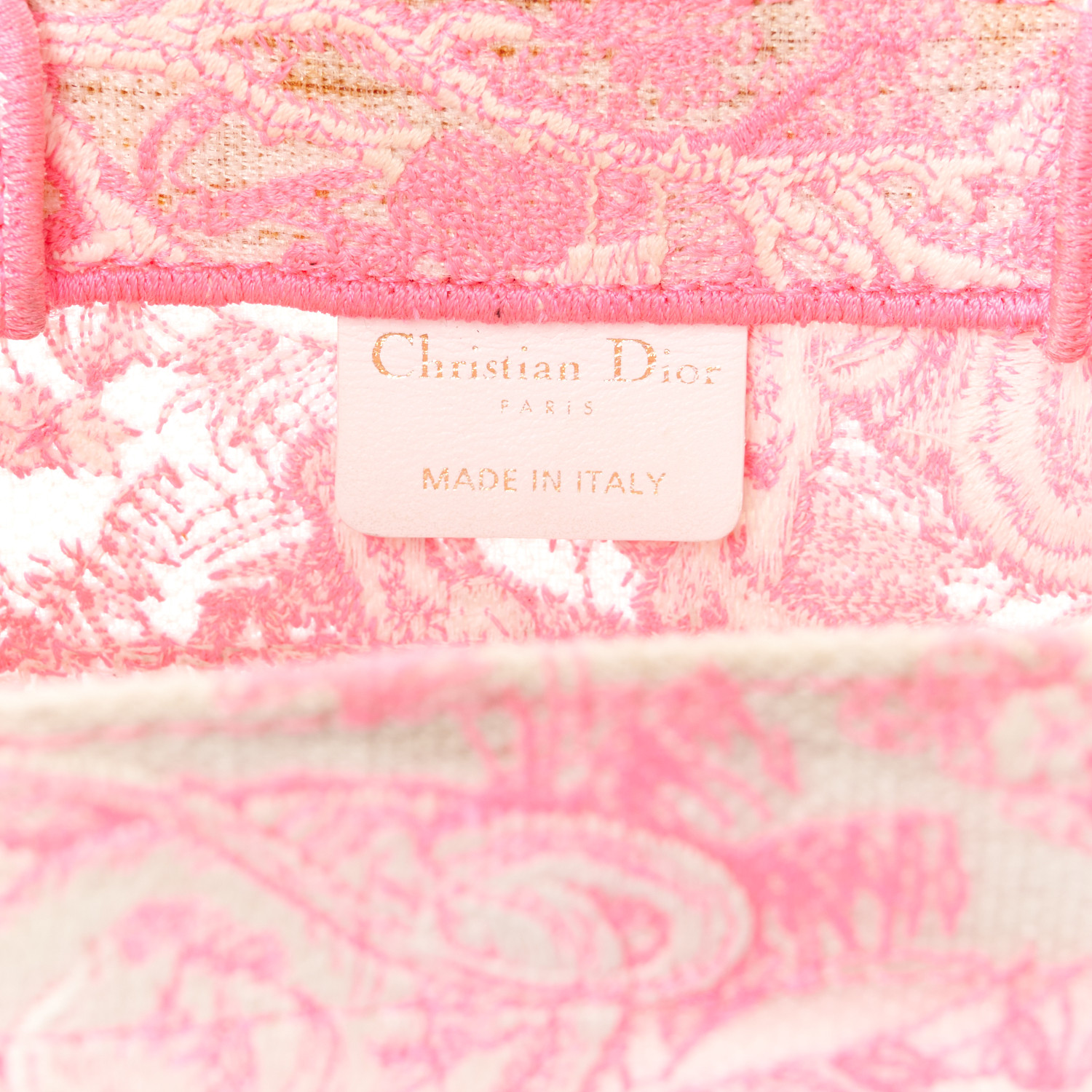 CHRISTIAN DIOR Transparent Canvas Embroidered Small Toile De