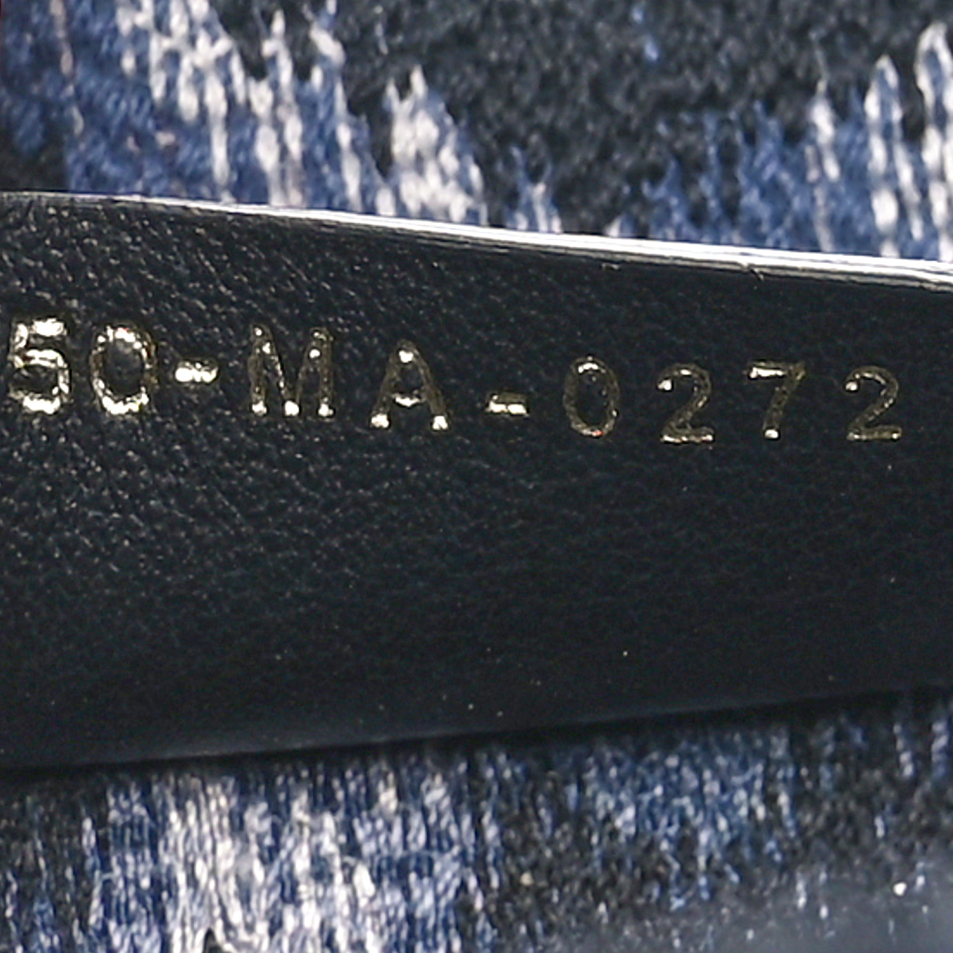 CHRISTIAN DIOR Canvas Mizza Embroidered Medium Leopard Book