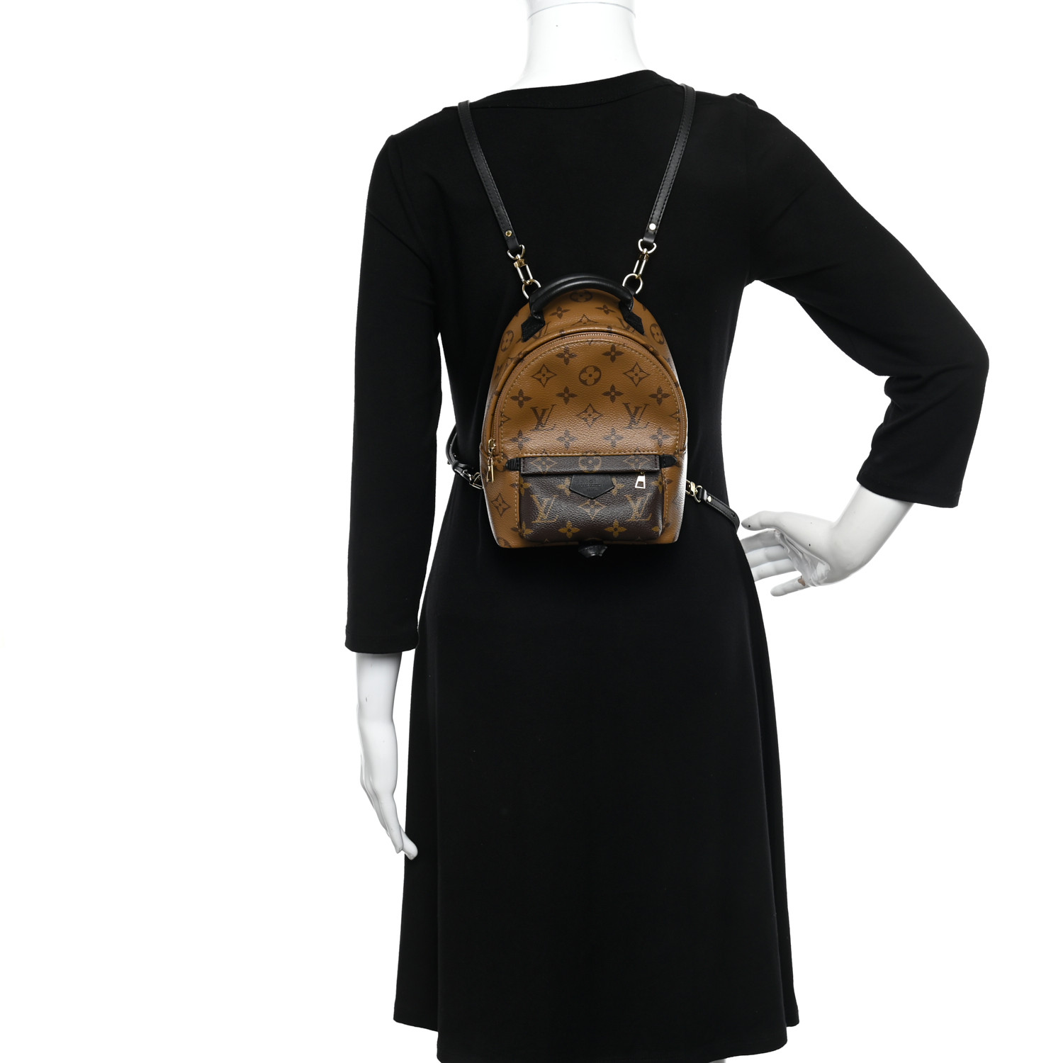 LOUIS VUITTON Reverse Monogram Palm Springs Backpack Mini 2