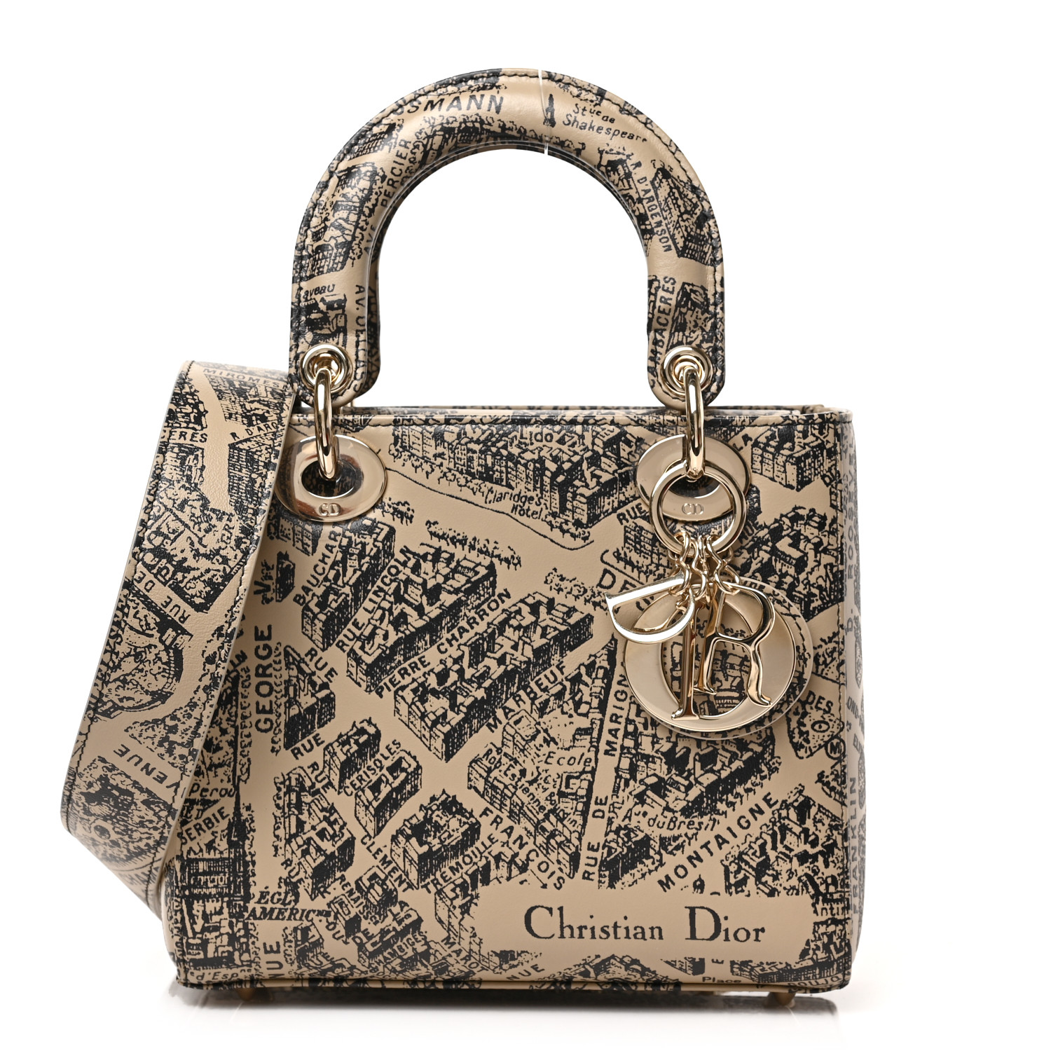 CHRISTIAN DIOR Smooth Calfskin Plan de Paris Printed Small