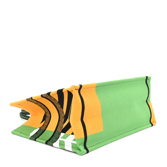 CHRISTIAN DIOR Canvas Embroidered Medium Jungle Pop Book