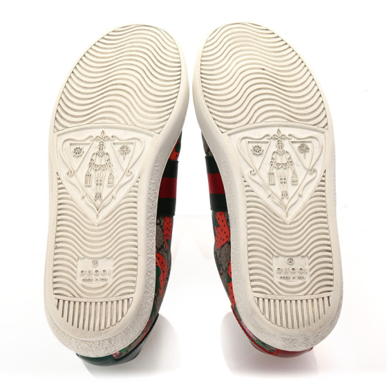 GUCCI GG Supreme Monogram Strawberry Web Womens Ace Sneakers