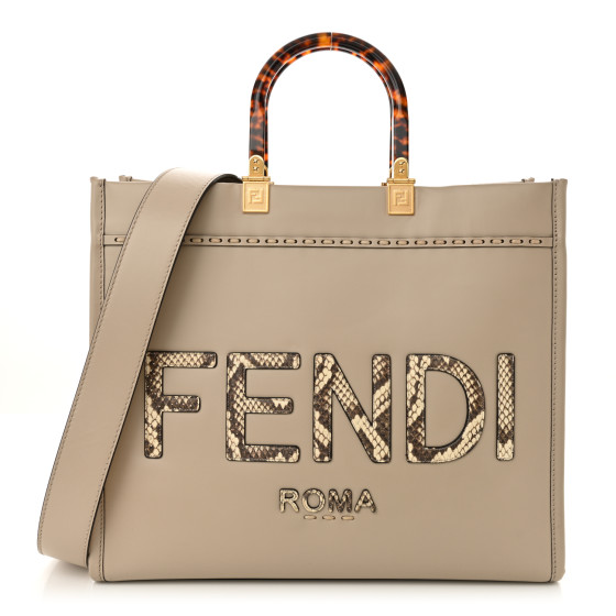 FENDI Vitello King Plexiglass Elaphe Python Print Logo