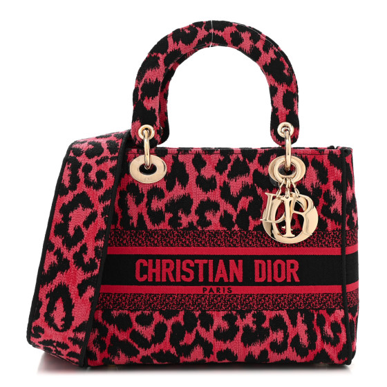 Dior ミッツァ ChristianDior CHRISTIAN DIOR Canvas Mizza Embroidered Medium Lady D-Lite