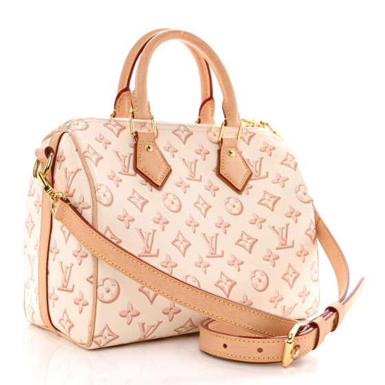 LOUIS VUITTON Monogram Fall for You Speedy Bandouliere 25