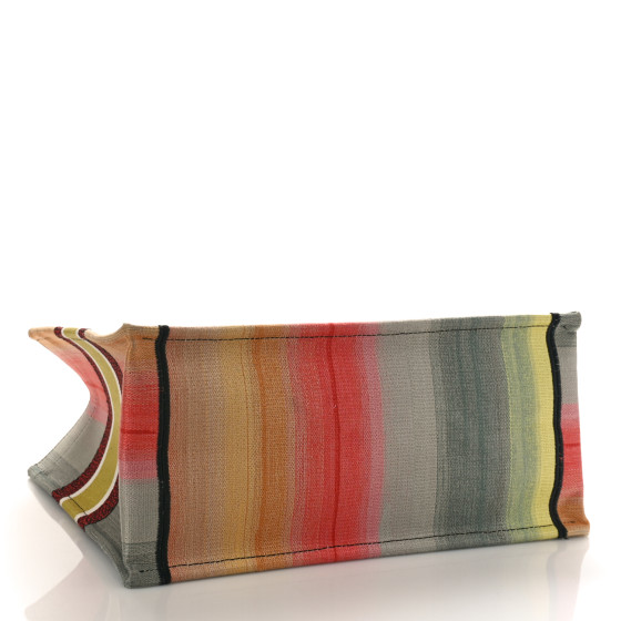 CHRISTIAN DIOR Canvas Embroidered Medium Dioraura Book Tote