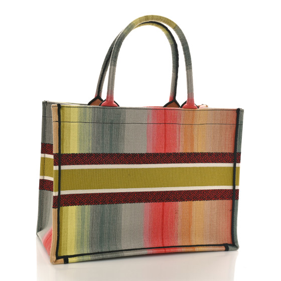 DIOR パンディオラ CHRISTIAN DIOR Canvas Embroidered Medium Dioraura Book Tote