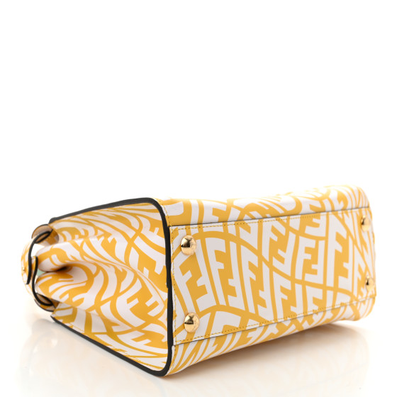 FENDI - spiral FENDI X SARAH COLEMAN Vitello Liberty Shiny Nappa Plexiglass