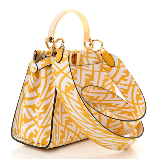FENDI - spiral FENDI X SARAH COLEMAN Vitello Liberty Shiny Nappa Plexiglass