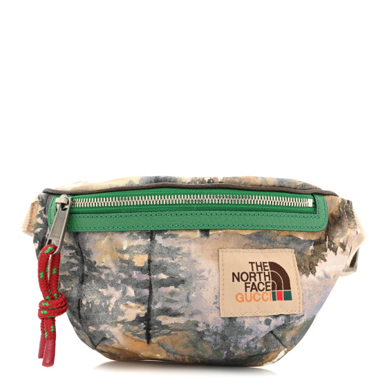 【GUCCI X THE NORTH FACE】Rainbow Logo Nylon Belt Bag MULTI GUCCI X THE NORTH FACE Econyl Nylon Belt Bag Pink Multicolor