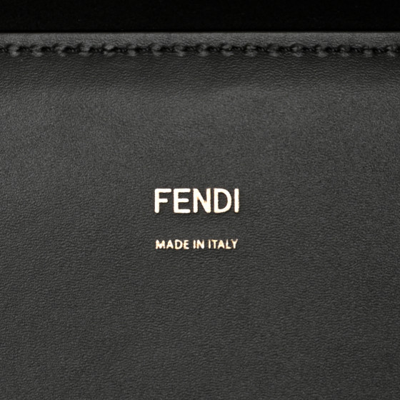 FENDI Vitello King Plexiglass Elaphe Python Print Logo