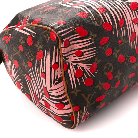 Louis Vuitton カラフル バケットバッグ Louis Vuitton LV x TM Monogram Cherry Blossom Papillon