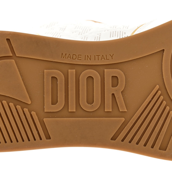 CHRISTIAN DIOR Calfskin Oblique Laser Perforated Dior One