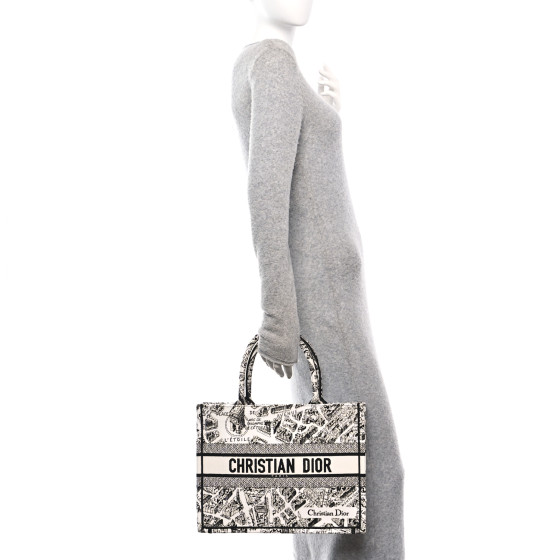 CHRISTIAN DIOR Canvas Embroidered Medium Plan De Paris Book