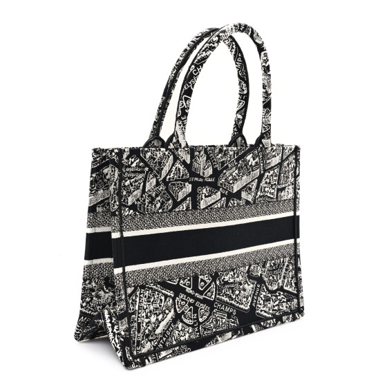 バッグ Christian Dior Book Tote (Plan de Paris) CHRISTIAN DIOR Canvas Embroidered Medium Plan De Paris Book