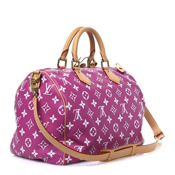 Louis Vuitton 
バングル モノグラムブラウン・ブラック LOUIS VUITTON Monogram Multicolor Speedy 40 White 25142