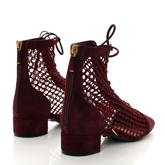 CHRISTIAN DIOR Suede Resille Naughtily-D 30mm Ankle Boots