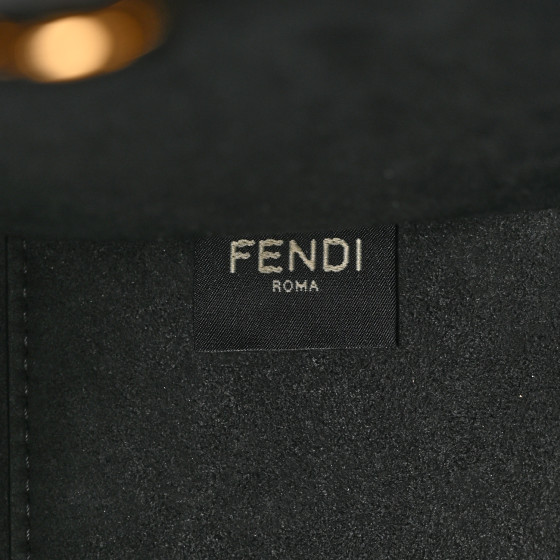 FENDI Vitello Plexiglass FF Embossed Small Fendi Sunshine
