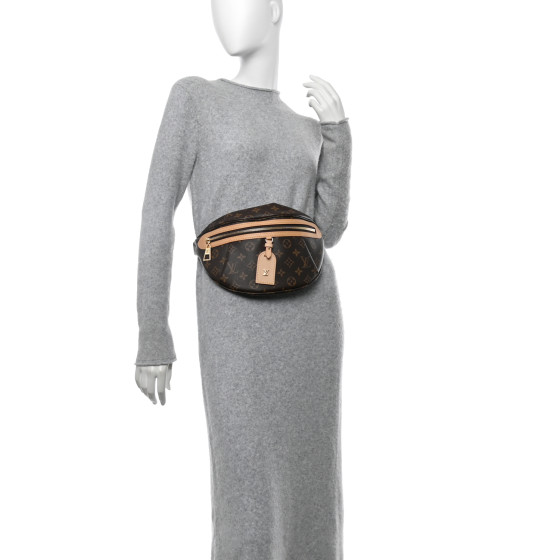 LOUIS VUITTON Monogram High Rise Bumbag 1685888 | FASHIONPHILE