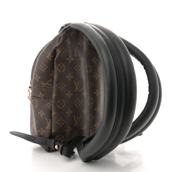 LOUIS VUITTON Monogram Palm Springs Backpack PM 1684888