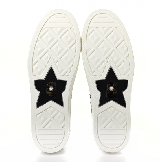 CHRISTIAN DIOR Canvas Dioramour Walk'N'Dior Low Top Sneakers