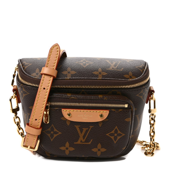 LOUIS VUITTON Monogram Mini Bumbag