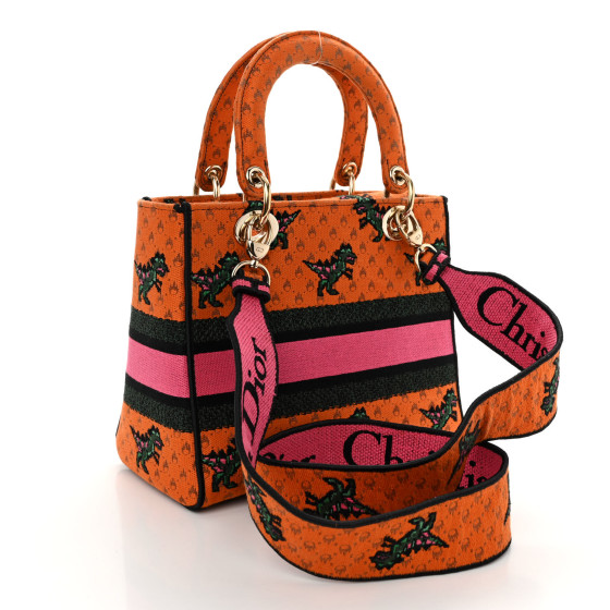 Christian Dior ディオール レディース 3051 1272 CHRISTIAN DIOR Canvas Embroidered Dino Medium Lady D-Lite