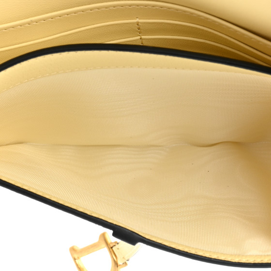 CHRISTIAN DIOR Goatskin Saddle Long Wallet With Chain Pastel