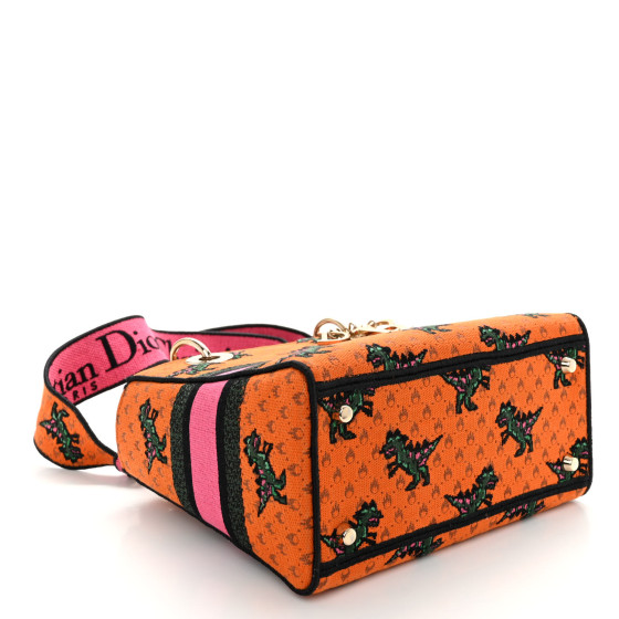 Christian Dior ディオール レディース 3051 1272 CHRISTIAN DIOR Canvas Embroidered Dino Medium Lady D-Lite