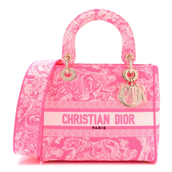 CHRISTIAN DIOR Canvas Toile De Jouy Reverse Embroidered