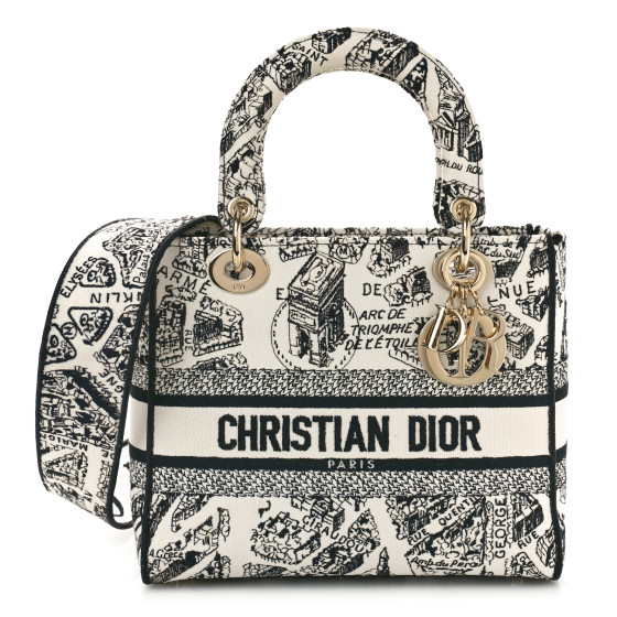 CHRISTIAN DIOR Canvas Embroidered Medium Plan de Paris Lady