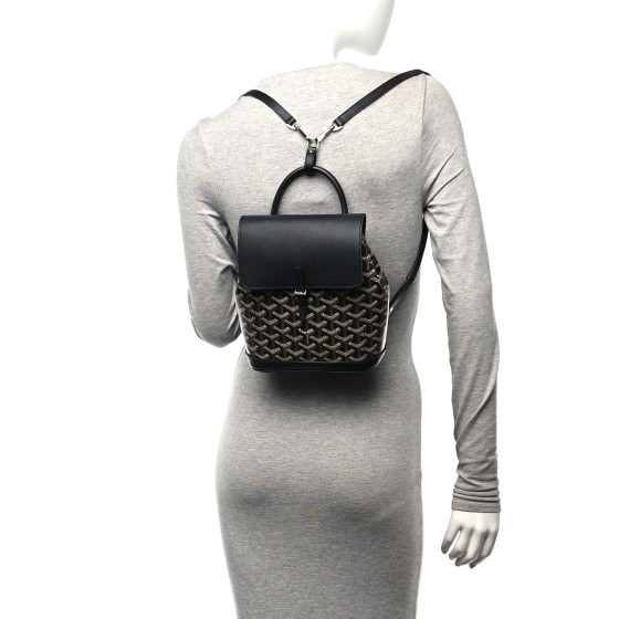 希少品◆入手困難♪【GOYARD】Alpin 2 ミニ バックパック black Goyard Alpin Backpack Mini Black | eBay