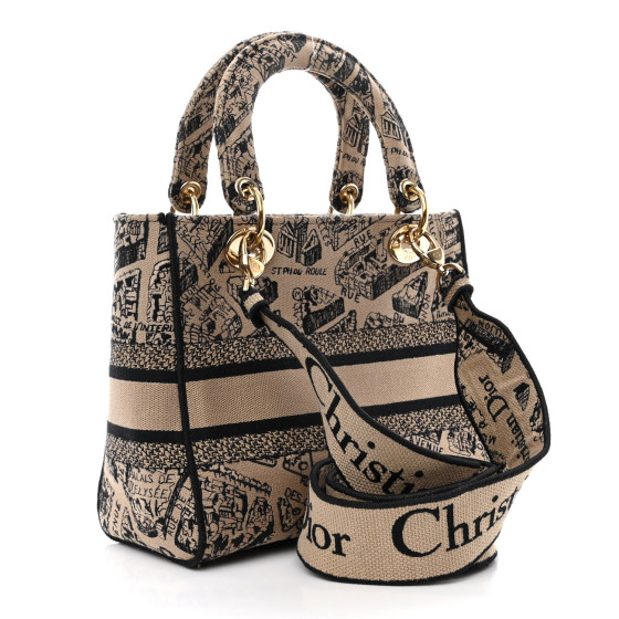 CHRISTIAN DIOR Canvas Embroidered Medium Plan de Paris Lady