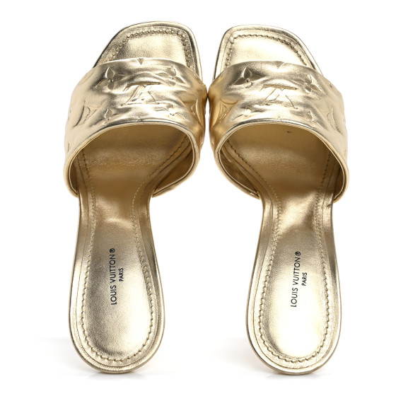 LOUIS VUITTON Metallic Lambskin Embossed Monogram Revival