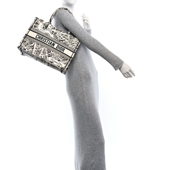 CHRISTIAN DIOR Canvas Embroidered Medium Plan De Paris Book