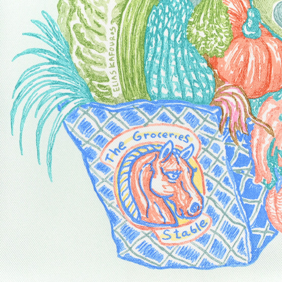 HERMES Silk Chevaloscope Scarf 90 Vert D'eau Corail Bleu